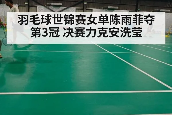 羽毛球世锦赛女单陈雨菲夺第3冠 决赛力克安洗莹