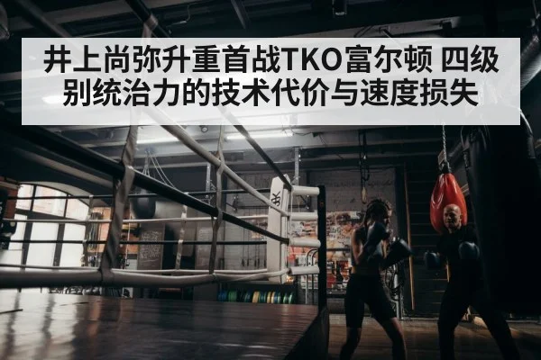 boxer training gym